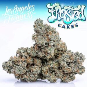 Buy Jungle Boys Frosted Cakes