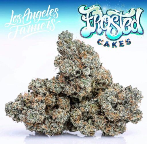 Buy Jungle Boys Frosted Cakes